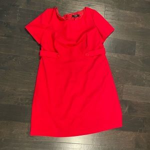 Dillards Alex Marie Dress 14W